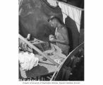 Dr. Lauren R. Donaldson cleaning shells in his laboratory aboard the USS CHILTON, summer 1947