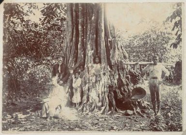 People around a tree. From the album: Cook Islands
