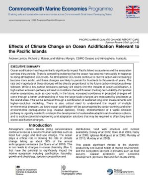 Effects of climate change on ocean acidification relevant to the Pacific Islands