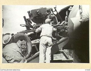 1943-06-25. NEW GUINEA. A U.S. ANTI-AIRCRAFT UNIT LOADS A 40MM BOFORS GUN INTO A TRANSPORT PLANE