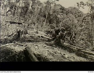 New Guinea. c. 1942. Members of an Australian artillery unit manhandling their dismantled 25 pounder gun up a steep jungle slope to get it into a position to engage the enemy