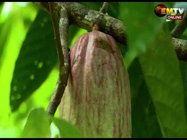 COCOA FARMERS DEPARTURE