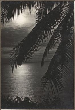 Scenes at Boianai [the sea, with a palm frond in the foreground] Frank Hurley