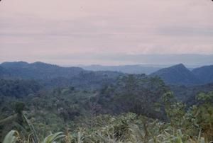 [Landscape of rainforested on mountains in Morobe, Papua New Guinea]