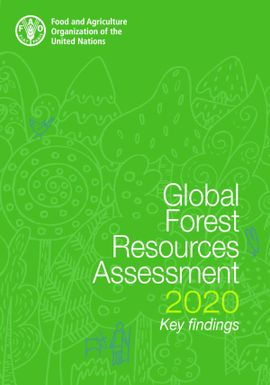 Global Forest Resources Assessment: Key Findings
