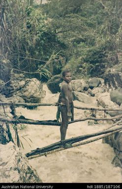 Boy standing on a bridge