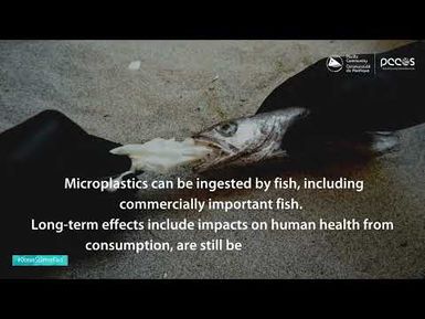 Ocean Science Fact: Microplastic in Ocean