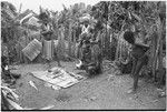 Pig festival, pig sacrifice, Tsembaga: ritual exchange of shell valuables, steel axes, and pork displayed on mat, man examines kina shell