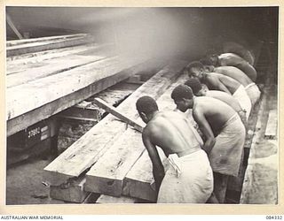 CAPE CUNNINGHAM, NEW BRITAIN, 1944-12-16. NATIVES FROM MANAM ISLAND AT THE 2/2 FORESTRY COY SAWMILL STACKING SAWN TIMBER ON A TRAILER