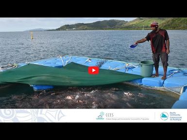 Aquaculture as a lever for rural development in New Caledonia