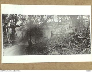 KILIGAI BEACH, NEW GUINEA. 1943-12-29. A SECTION OF THE BEACH AREA SHOWING THE BOMB BLAST DAMAGE TO THE TREES AND VEGETATION IN THE BOMBED AREA