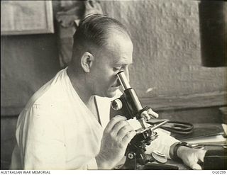 NEW GUINEA. C. 1943. SQUADRON LEADER D. R. MUNRO OF GLOUCESTER, NSW, MEDICAL OFFICER AT NO. 2 MEDICAL RECEIVING STATION (DETACHMENT), A RAAF HOSPITAL IN A FORWARD AREA, AT WORK AT A MICROSCOPE IN ..