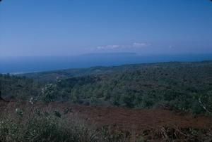 [Landscape with dirt road on Kauai Island, United States]