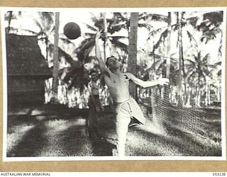 MILNE BAY, NEW GUINEA. 1943-06-26. QX44113 STAFF-SERGEANT K.T. QUINN (LEFT) AND QX36373 WARRANT-OFFICER (I) C.E. TUCKER, "G" STAFF, 5TH AUSTRALIAN DIVISION, PLAYING VOLLEY BALL