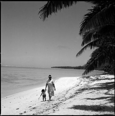 Norma Iro frame 6