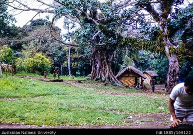 Tanna - Native Village