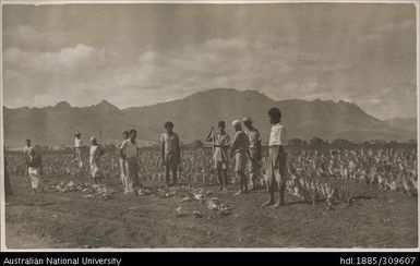 Planting at Lega Lega