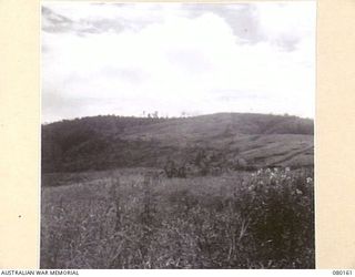 SATTELBERG, NEW GUINEA. 1944-07-06. TYPICAL SCENERY WITHIN THE AREA. THE PHOTOGRAPH WAS TAKEN FOR USE BY VX76415 LIEUTENANT R.B. EWERS, OFFICIAL WAR ARTIST, MILITARY HISTORY SECTION