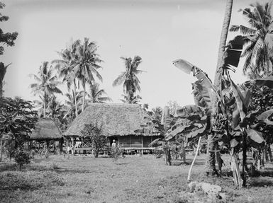 [View of fale and Palm trees]