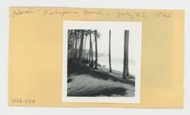 [Kalapana beach shoreline in Hawaii, envelope IE26-034]