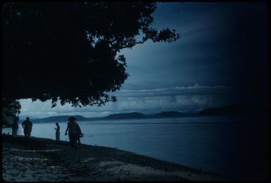 View from the beach : Buka Island, Bouganville, Papua New Guinea, 1960 / Terence and Margaret Spencer