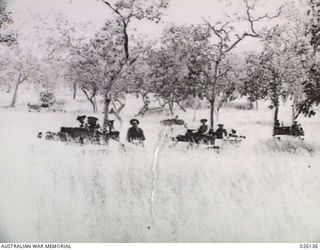 NEW GUINEA, 1942-08. BREN GUN AND UNIVERSAL CARRIERS OF THE 39TH INFANTRY BATTALION AUSTRALIAN MILITARY FORCES, PHOTOGRAPHED WHILST ON MANOEUVRES IN THE NEW GUINEA JUNGLE. THE KUNAI GRASS IN THIS ..