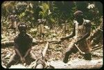 Carving a canoe with axes