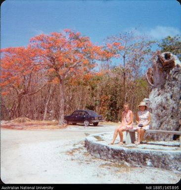 Two women seated by tree sump
