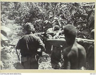 BOUGAINVILLE. 1945-04-26. NATIVES CARRYING BACK C COMPANY, 24 INFANTRY BATTALION BATTLE CASUALTIES, DURING THE ADVANCE, SUPPORTED BY 2/4 ARMOURED REGIMENT MATILDA TANKS, ALONG THE BUIN ROAD SOUTH ..