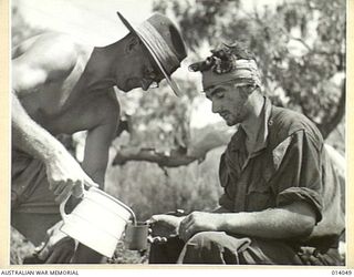 1943-01-11. USE OF TRANSPORT PLANES IN NEW GUINEA ENABLES SPEEDY EVACUATION OF WOUNDED FROM FORWARD AREAS TO THE BASE. COMPARED WITH THEIR TREK ACROSS THE OWEN STANLEYS, WHICH TOOK DAYS, WOUNDED ..