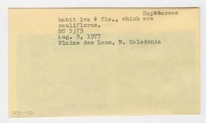 [Sapotaceae in New Caledonia, envelope IE41-201]