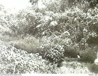 NEW BRITAIN, 1945-09. ENGINE OF A CRASHED VOUGHT F4U CORSAIR AIRCRAFT FOUND IN THE RABAUL/GAZELLE PENINSULA AREA. (RNZAF OFFICIAL PHOTOGRAPH.)