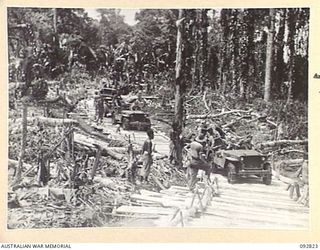 SORAKEN AREA, BOUGAINVILLE, 1945-06-07. NATIVES AT WORK ON THE ROUGH CORDUROY TRACK USED TO CARRY SUPPLIES FROM 31/51 INFANTRY BATTALION, TACTICAL HQ