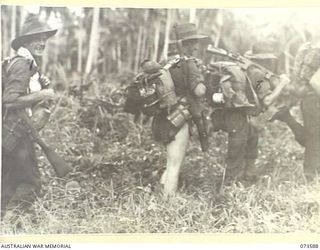 WEWAK AREA, NEW GUINEA. 1944-05-26. MEMBERS OF THE 35TH INFANTRY BATTALION MOVING THROUGH A COCONUT PLANTATION DURING THEIR DRIVE UP THE COAST TOWARDS WEWAK. PRIVATE S. YOUNGER (2), IS WITHOUT ..