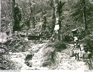 THE SOLOMON ISLANDS, 1945-03-27. NATIVE CARRIERS MOVING ALONG THE WELL MARKED BUT ROUGH NUMA NUMA TRAIL ON BOUGAINVILLE ISLAND. (RNZAF OFFICIAL PHOTOGRAPH.)
