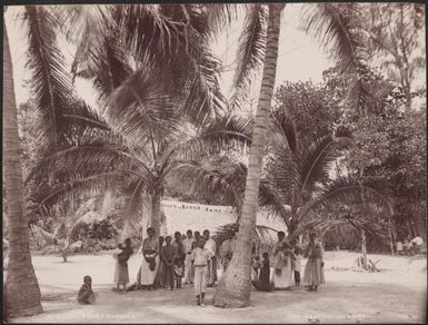 Villagers standing under palm trees at Rowa, Banks Islands, 1906 / J.W. Beattie