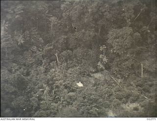 NEW GUINEA. C. 1944. AERIAL PHOTOGRAPH OF JUNGLE TERRAIN. NOTE THE WHITE TENT WHICH STANDS OUT FROM THE SURROUNDING TREES