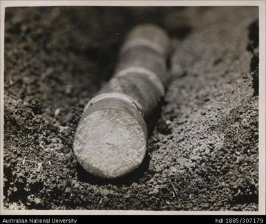 Cane placed into soil