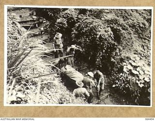 MELBOURNE, VICTORIA, AUSTRALIA. 1944-03-03. COPY OF A SCENE FROM A CINE STRIP OF AUSTRALIAN STRETCHER BEARERS CARRYING A WOUNDED SOLDIER DOWN A STEEP PATH SOMEWHERE IN NEW GUINEA