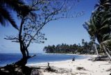 Fiji, view of Korolevu beach