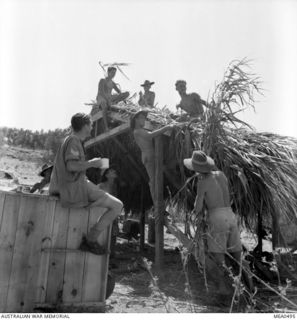 Catania, Italy. August 1943. Ground crews of the Desert Harassers No. 450 (Kittyhawk) Squadron RAAF place a bamboo roof on new Mess near Agnone airfield, South of Catania, Sicily