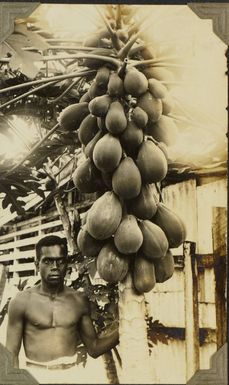 Fijian pawpaw seller, 1928