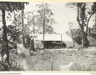 TOROKINA, BOUGAINVILLE ISLAND. 1944-11-25. THE QUARTERMASTER'S STORE IN THE TEMPORARY CAMP AREA OF HEADQUARTERS, 2ND AUSTRALIAN CORPS IMMEDIATELY AFTER THE UNITS ARRIVAL FROM LAE, NEW GUINEA