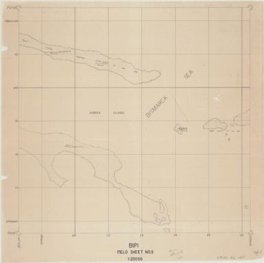 [Admiralty Islands 1:20,000 field sheet] (Bipi field sheet 5)