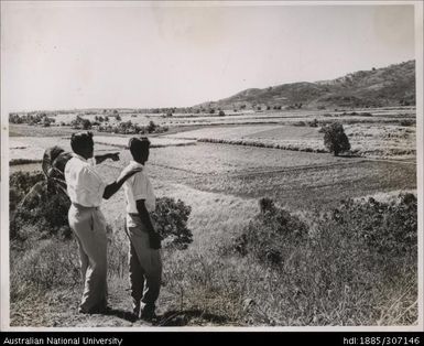 Men looking at field