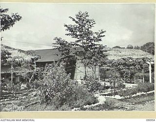 LAE, NEW GUINEA. 1945-08-14. WARD 19, 2/7 GENERAL HOSPITAL