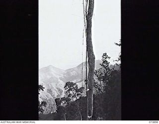 SHAGGY RIDGE, NEW GUINEA. 1944-06-18. PROTHERO 1 VIEWED FROM THE RIDGE. PATROL OF 11TH DIVISION CARRIER COMPANY IS MOVING THROUGH THE AREA DURING AN EXPEDITION WITH OFFCIAL WAR ARTIST VX76415 ..