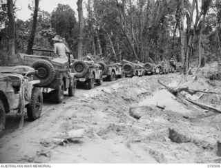 BOUGAINVILLE ISLAND. 1945-02-27. A JEEP TRAIN OF THE 7TH INFANTRY BRIGADE, LOADED WITH SUPPLIES FOR THE FORWARD TROOPS, MAKING ITS WAY THROUGH THE MUD AND SLUSH OF THE MOSIGETTA ROAD