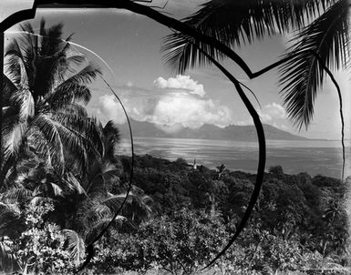 [Tropical land and seascape]