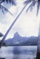 French Polynesia, view of Mount Tohivea on Moorea Island